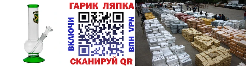 ГАШ Изолятор  Новохопёрск 