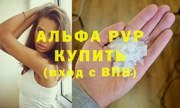 спиды Вяземский
