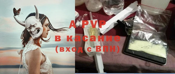 спиды Вяземский