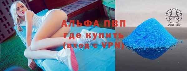спиды Вяземский