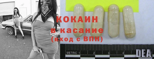 мдпв Елабуга