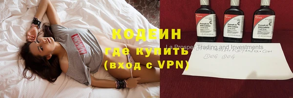 спиды Вяземский