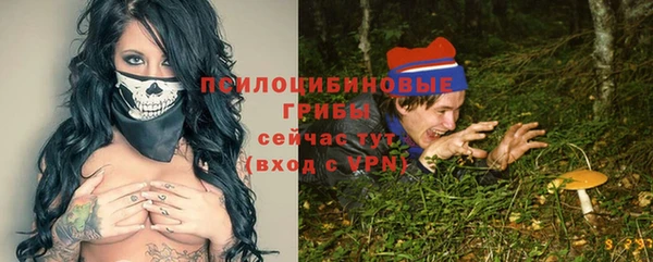 Альфа ПВП Вязники