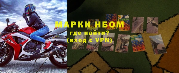 спиды Вяземский