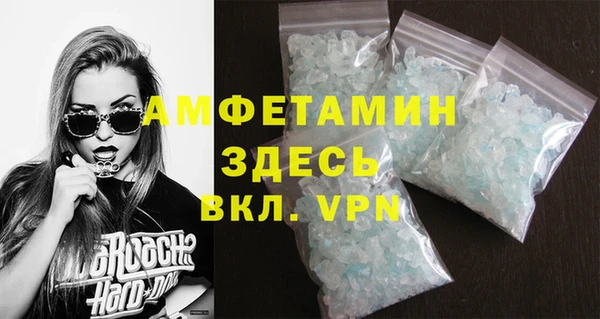 спиды Вяземский