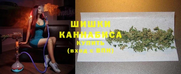 спиды Вяземский